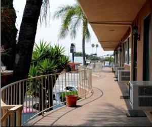 英格尔伍德LAX世纪旅馆的一条种有棕榈树的路边和一座建筑
