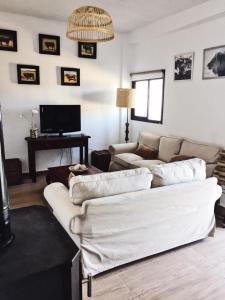 比利亚马尔廷Vivienda Rural "LA ZUA"的带沙发和电视的客厅