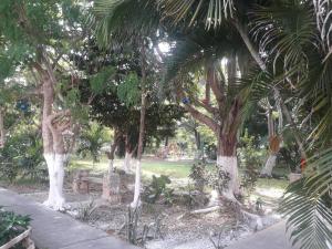 坎昆Casa Luz Verde的一座种有树木、长凳和游乐场的公园