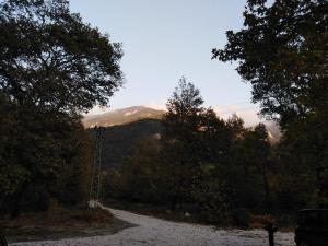 巴奇科伏Complex Magic of the Rhodopes的一条有树木和山底的砾石路