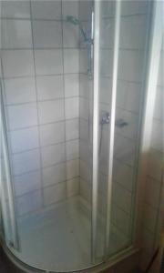 ArriachApartment MASCH的浴室里设有玻璃门淋浴