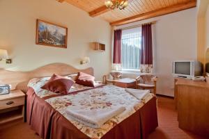 克雷尼察Piastun SPA&Wellness Krynica-Zdrój的一间卧室配有一张床,并在一间客房内配有电视。