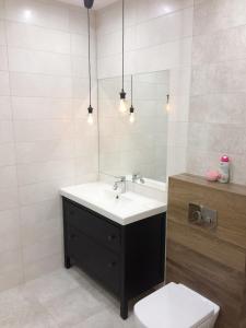 克拉科夫Apartament Naukowców的一间带水槽、卫生间和镜子的浴室