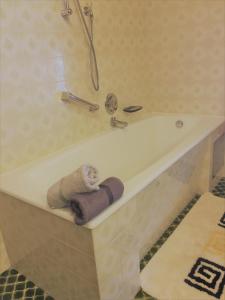 毛拉赫Appartement Straninger am Achensee的带淋浴和毛巾的浴室