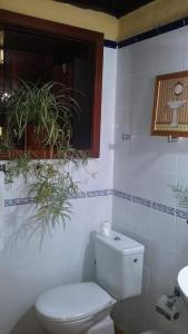 蓬塔戈尔达Casas Rurales Los Marantes的一间带卫生间的浴室和一个带盆栽的窗户
