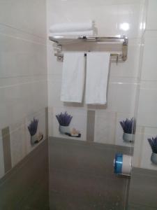Royal Hotel的一间浴室