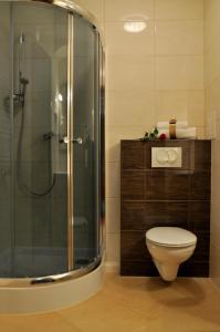 Gawrych Ruda维格拉米河畔酒店的一间带卫生间和玻璃淋浴间的浴室