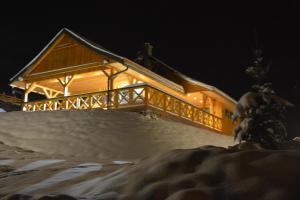 卡缅纳古拉Pod Zielonym Dachem的雪中的房子,晚上有灯