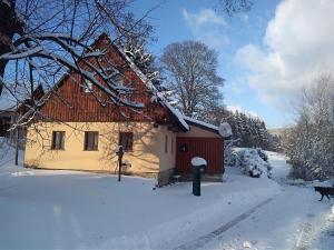 尼萨河畔亚布洛内茨Chalupa v Krásné的雪覆盖着房子,狗从房子前走