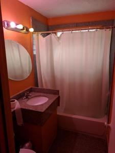 芝加哥Skylark Motel的浴室配有盥洗盆和带镜子的淋浴