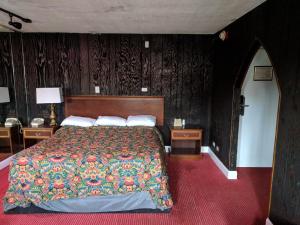 芝加哥Skylark Motel的一间卧室设有一张大床和两个床头柜