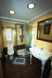 波罗斯安娜斯塔贾酒店的带淋浴、盥洗盆和卫生间的浴室