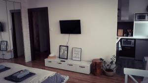 帕尔杜比采Apartmán Lucie的一间客厅,在白色的墙上配有电视