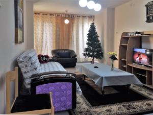 Atlit2 bedroom apartment in Atlit, Haifa district的相册照片