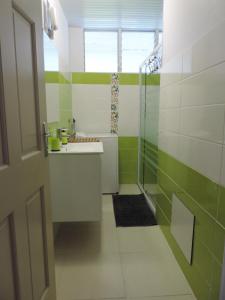 法兰西堡Any's Appart的浴室拥有绿色和白色的墙壁,设有水槽