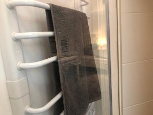 布吕根Appartment Viola的毛巾挂在淋浴毛巾架上