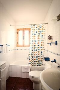 锡古恩萨Casa La Alegria De La Alcarria II的带浴缸、卫生间和淋浴帘的浴室
