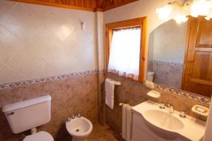 圣马丁德洛斯Cabañas Del Lacar的一间带卫生间、水槽和镜子的浴室
