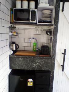 PateaIronsands B&B Studio Unit的一间带水槽和微波炉的小厨房