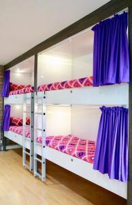 利物浦The Liverpool Pod Travel Hostel的配有两张双层床的紫色窗帘客房