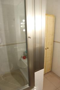 科尔多瓦雷梅迪奥斯公寓的浴室里设有玻璃门淋浴