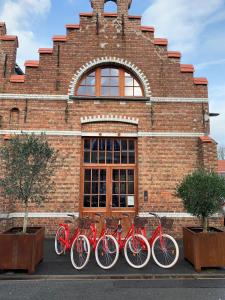 布鲁日b room的停在砖楼前的一排红自行车