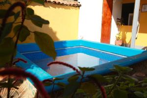 莱昂Hostal La Tortuga Booluda的植物房子里的蓝色游泳池