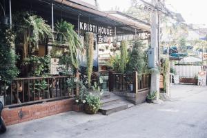 清迈克里斯蒂  清迈古城的前面有盆栽植物的商店