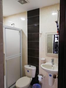 圣安德烈斯萨利湾宾馆的一间带卫生间和水槽的浴室