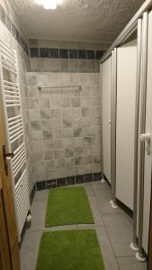 韦松纳尔米塔格乡间度假别墅酒店的浴室设有绿色地毯和淋浴。