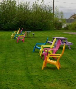 特鲁罗涌潮酒店 的坐在草丛中的一排五颜六色的椅子