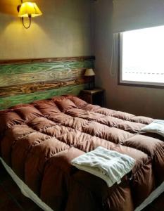圣卡洛斯-德巴里洛切Bariloche Hostel的卧室内的一张大床,设有窗户