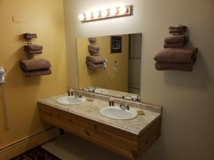 威拉德芒格汽车旅馆的一间浴室