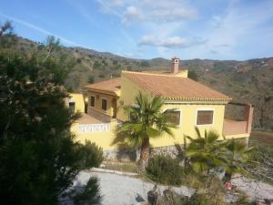 林孔-德拉维多利亚Cortijo Rural Los Gonzalez的一座黄色房子,前面有一棵棕榈树