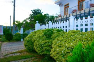 丹不拉基亚拉酒店的建筑物前的白色围栏和灌木