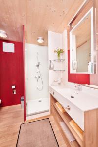 圣珀尔滕Gästehaus Aquilin的浴室配有白色水槽和淋浴。