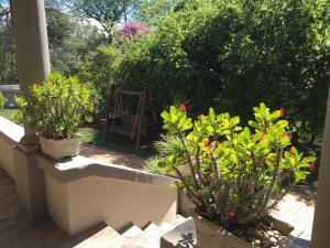 莱迪史密斯Peaches & Cream Bed & Breakfast的门廊上种植了两盆植物的花园