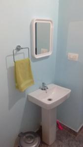 马迪凯里Srishti Homestay的一间带水槽和镜子的浴室