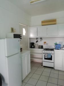 卡斯特里埃斯波尔公寓的白色的厨房配有白色家电和白色橱柜