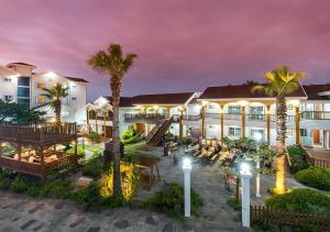 济州市格里姆度假酒店的棕榈树度假村的外部景色