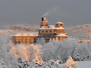 冬天的仙台皇家公园酒店