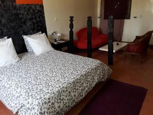 瓦加杜古Le ZaNaLi Hotel的一间卧室配有一张床和一张红色椅子