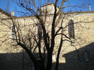 坎松L' ensoleilladou的建筑物前的树