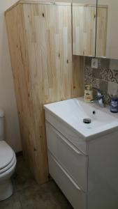 拉弗雷切Appartement Taïko的浴室配有白色水槽和卫生间。