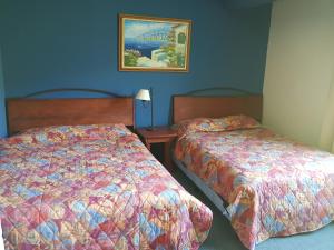 帕纳哈切尔Sky view Atitlán lake suites ,una inmejorable vista apto privado dentro del lujoso hotel的酒店客房设有两张床,墙上挂着一张照片。