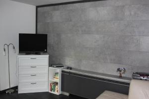 巴德哥依斯恩Ferienwohnung Haus Cerny的客厅设有墙壁,配有电视