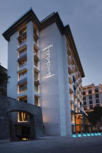伊斯坦布尔伊斯坦布尔阿卡迪亚蓝酒店的相册照片