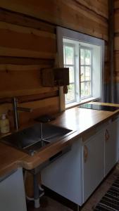 LauvstadTiny house with Fjordview!的厨房配有水槽和台面