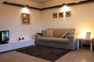 福尔加里亚Trentino Apartments - Casa Corn的带沙发和电视的客厅