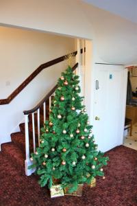 坎特伯雷坎特伯雷酒店的楼梯旁边的地板上有一棵圣诞树